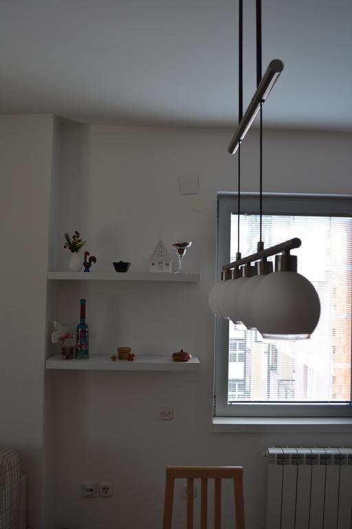 Luxury Apartment Near City Center スコピエ エクステリア 写真