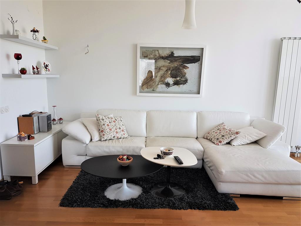 Luxury Apartment Near City Center スコピエ エクステリア 写真